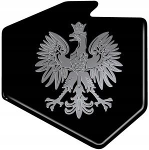 NAKLEJKA 1/06501